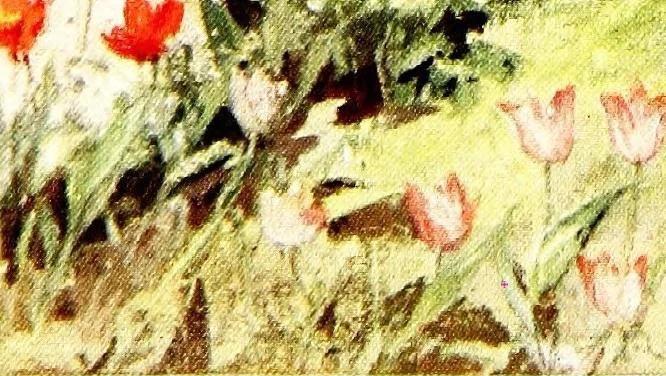 An illustration from Scottish gardens; being a representative selection of different types, old and new, 1908, leaf 145