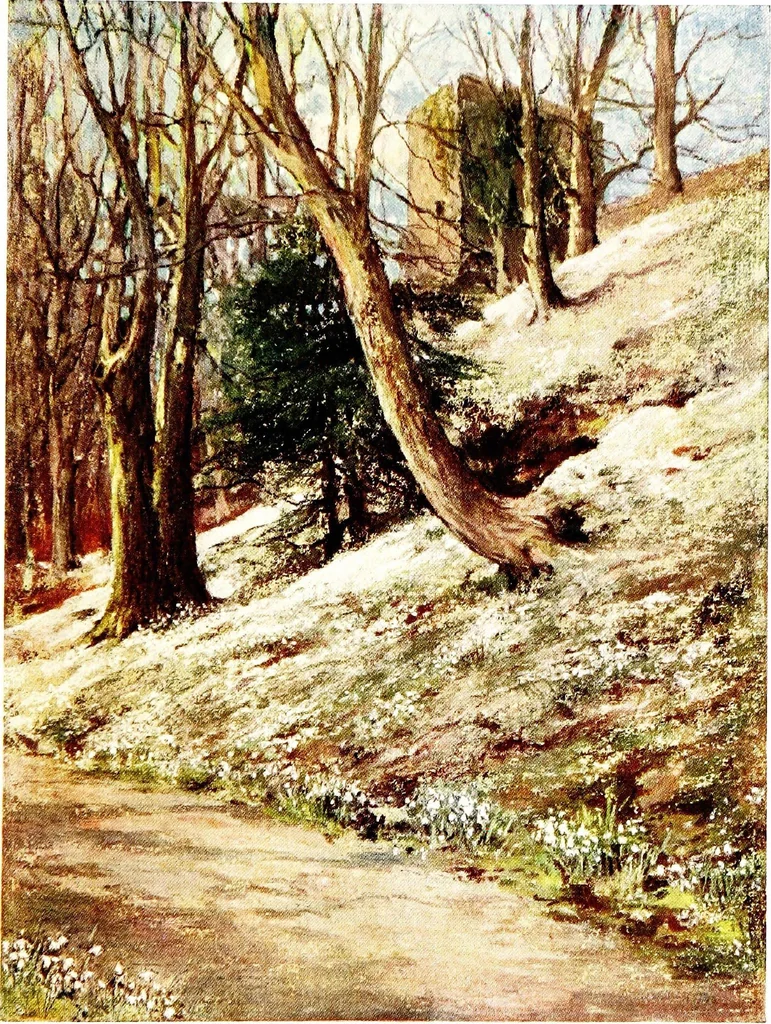An illustration from Scottish gardens; being a representative selection of different types, old and new, 1908, leaf 45
