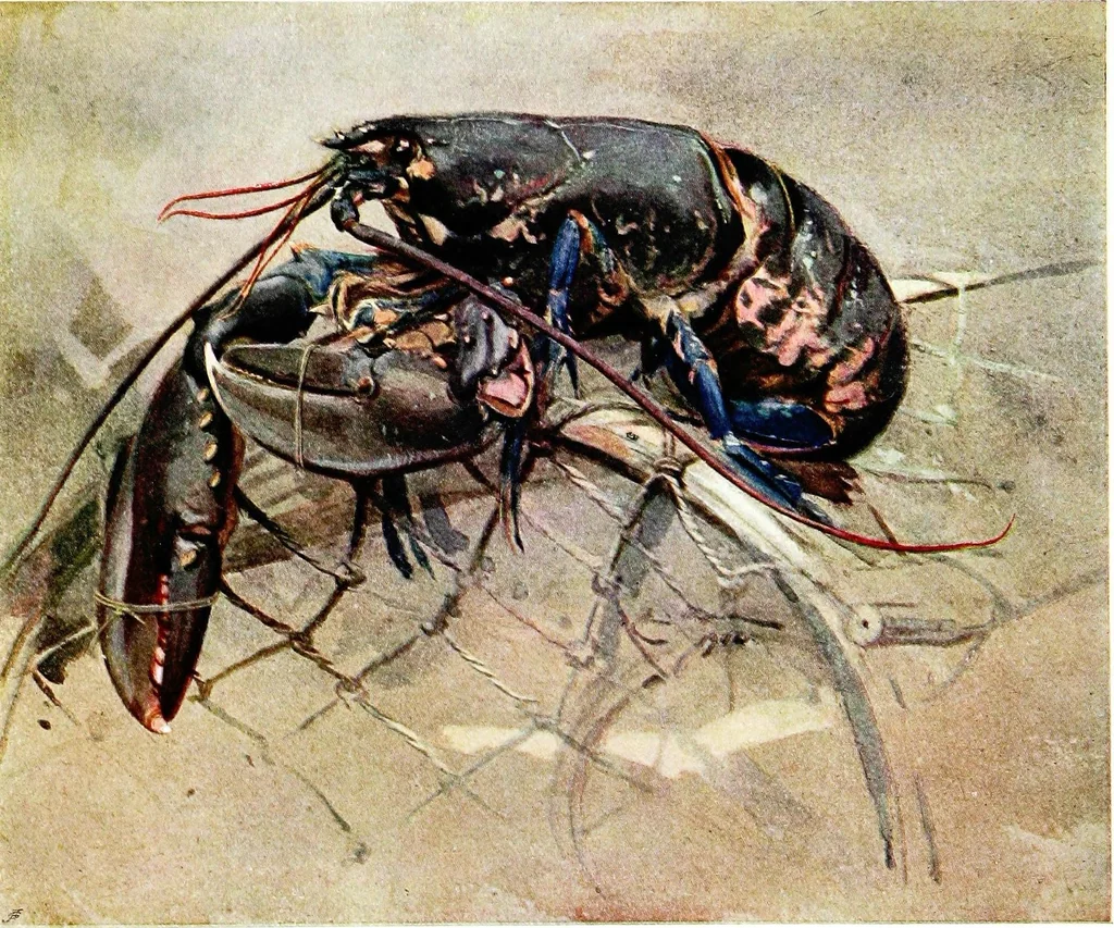 An illustration from Royal Scottish Academy, 1907, leaf 142