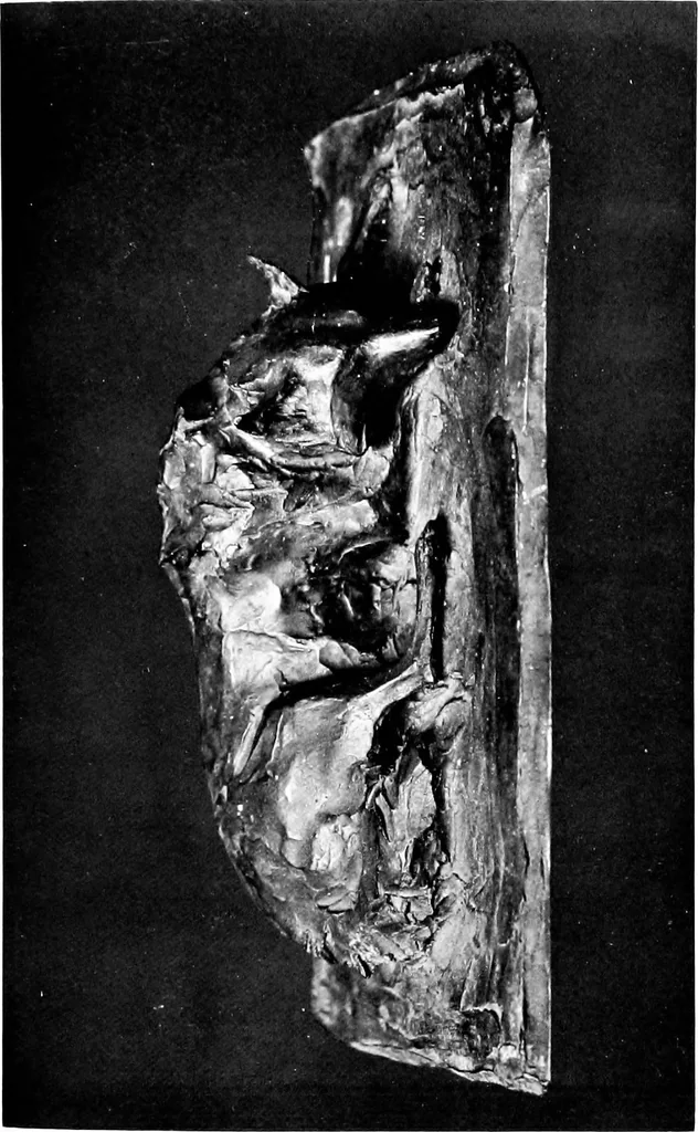 An illustration from Catalogue of sculpture by Prince Paul Troubetzkoy, exhibited by the American Numismatic Society at the Albright Art Gallery, March 27 to April 27;, 1911, leaf 164