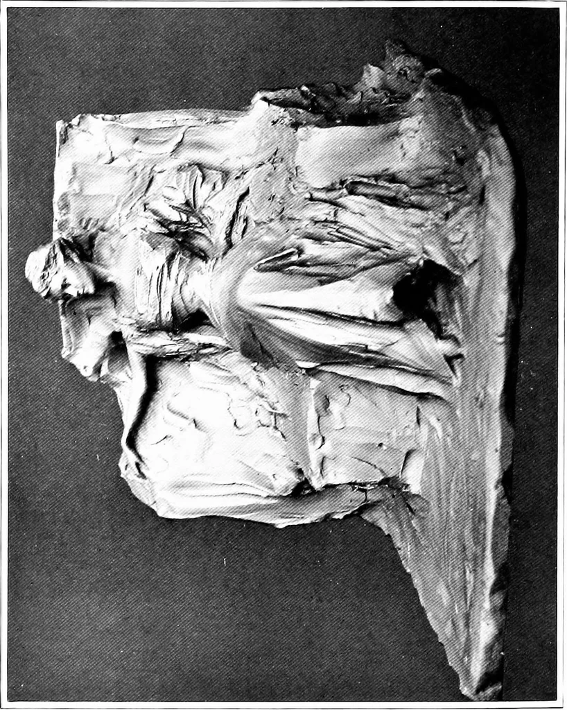 An illustration from Catalogue of sculpture by Prince Paul Troubetzkoy, exhibited by the American Numismatic Society at the Albright Art Gallery, March 27 to April 27;, 1911, leaf 99