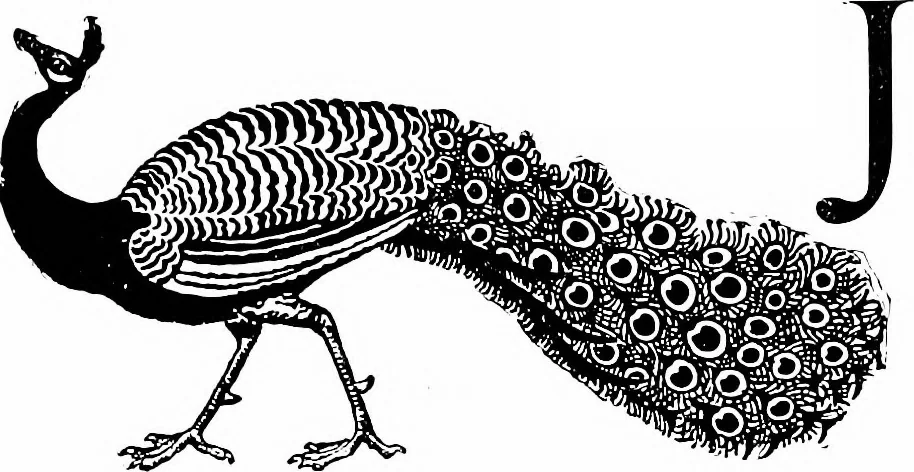 An illustration from Modern book-bindings & their designers, 1900, leaf 15