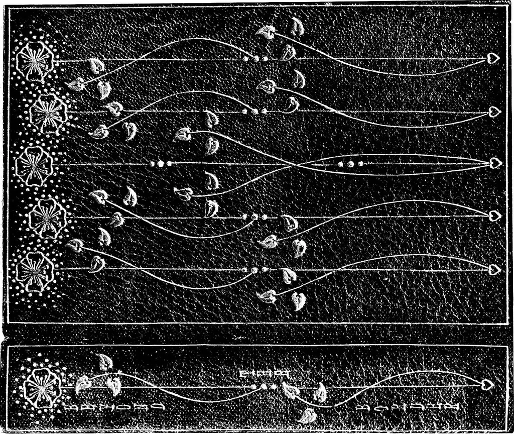 An illustration from Modern book-bindings & their designers, 1900, leaf 69