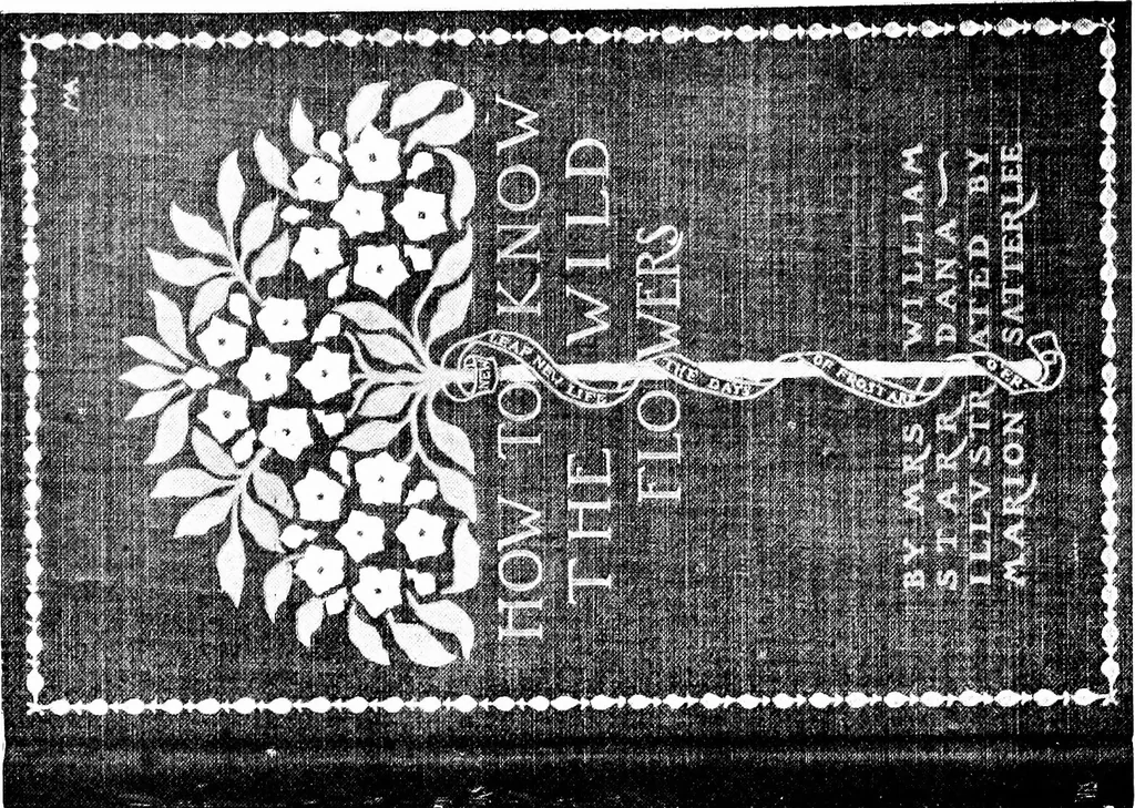 An illustration from Modern book-bindings & their designers, 1900, leaf 79