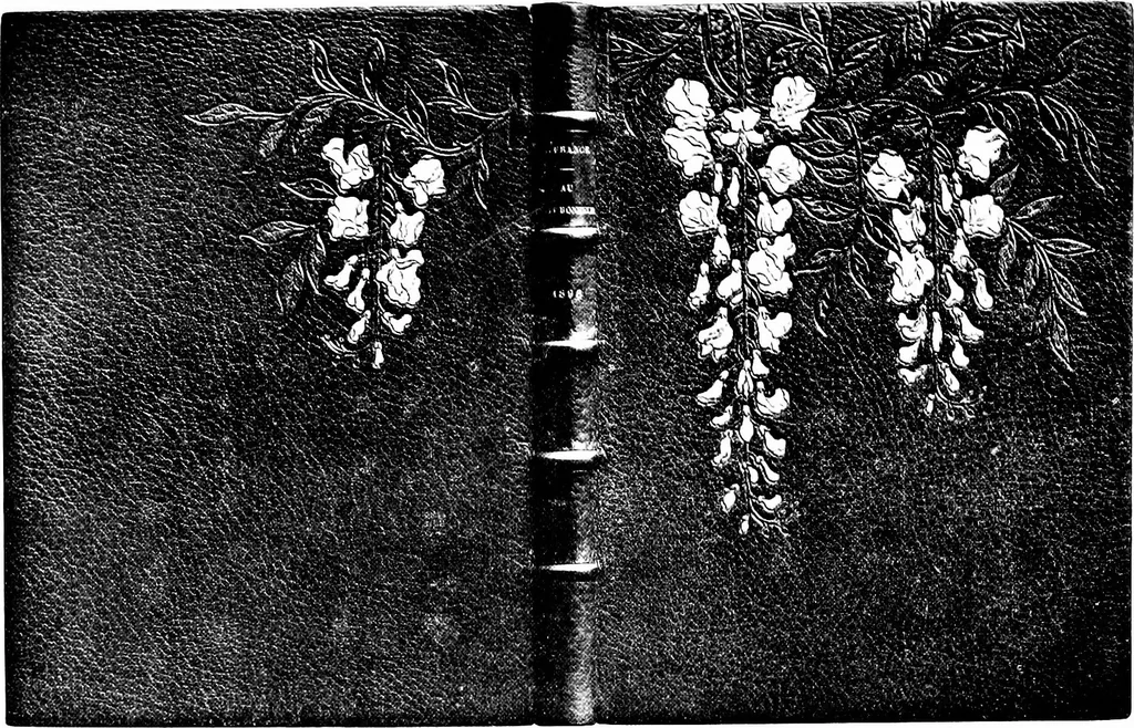 An illustration from Modern book-bindings & their designers, 1900, leaf 89