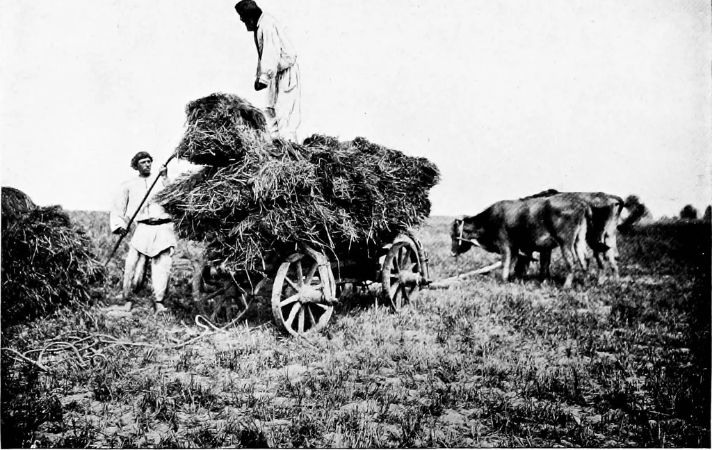 An illustration from Peasant art in Russia, 1912, leaf 157