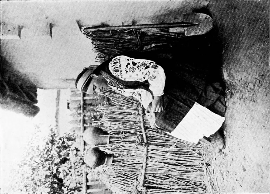 An illustration from Peasant art in Russia, 1912, leaf 161