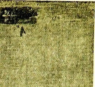 An illustration from The art collections of the nation; some recent acquisitions, 1920, leaf 70