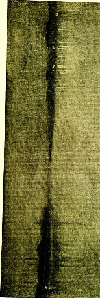 An illustration from The art collections of the nation; some recent acquisitions, 1920, leaf 70