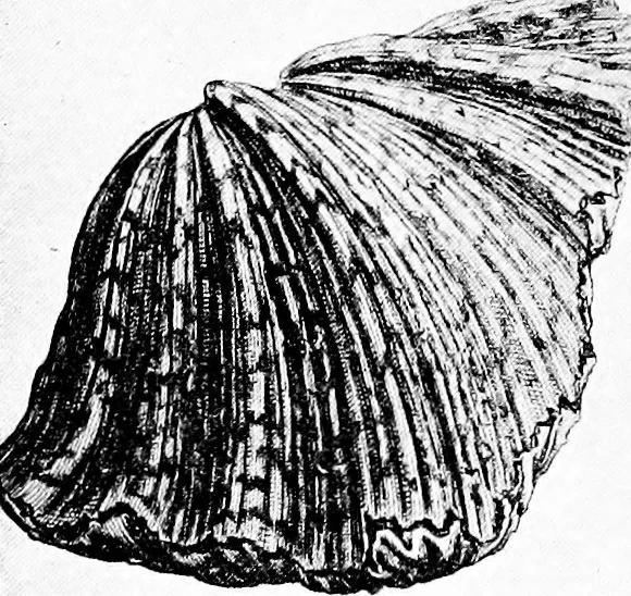 An illustration from Etching craft; a guide for students and collectors, 1922, leaf 103