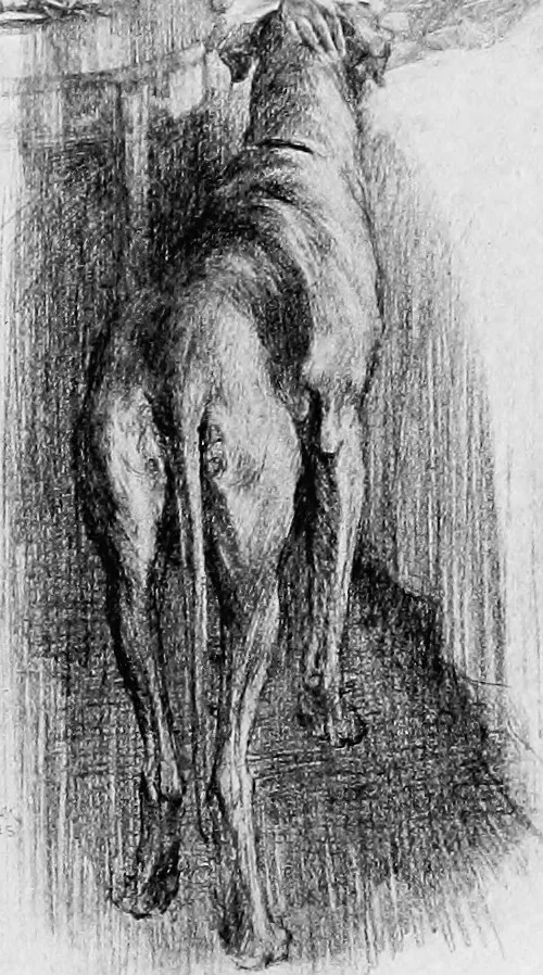 An illustration from Modern book illustrators and their work, 1914, leaf 206