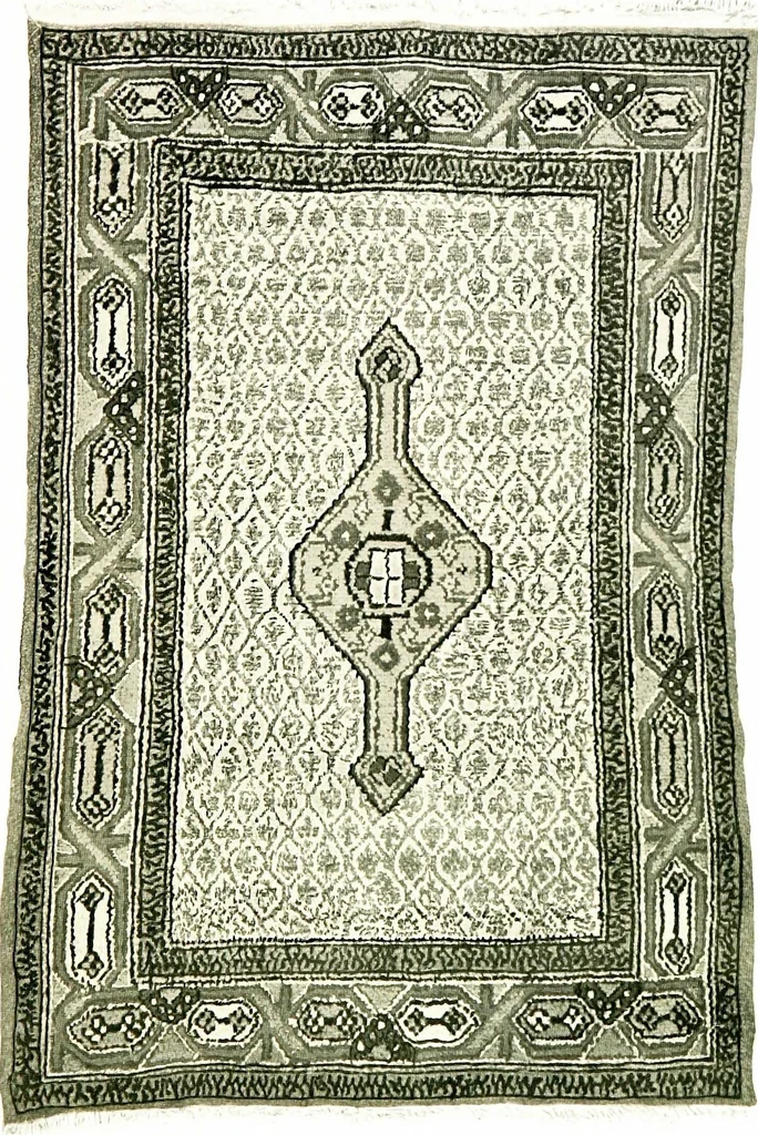 An illustration from Rugs, oriental and occidental, antique and modern. A handbook for ready reference, 1901, leaf 57