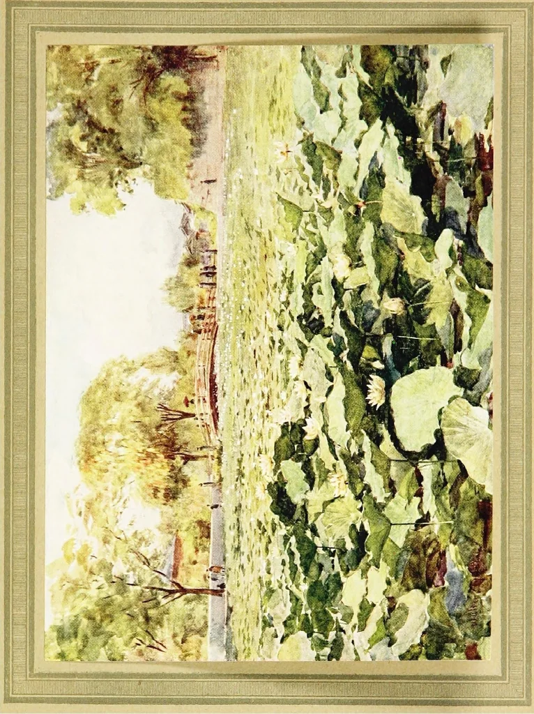 An illustration from Japanese gardens, 1912, leaf 161