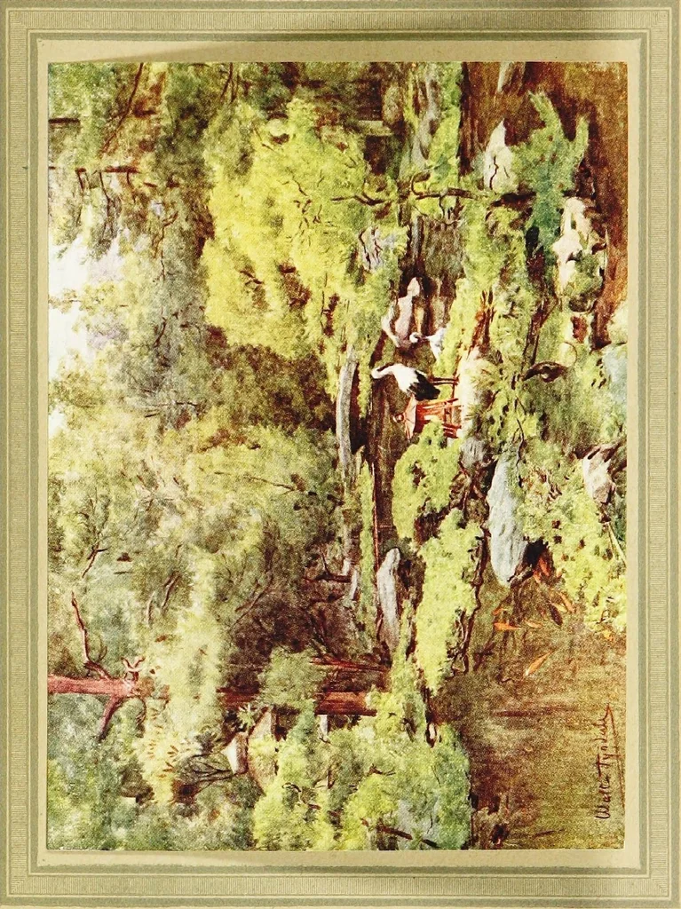 An illustration from Japanese gardens, 1912, leaf 209