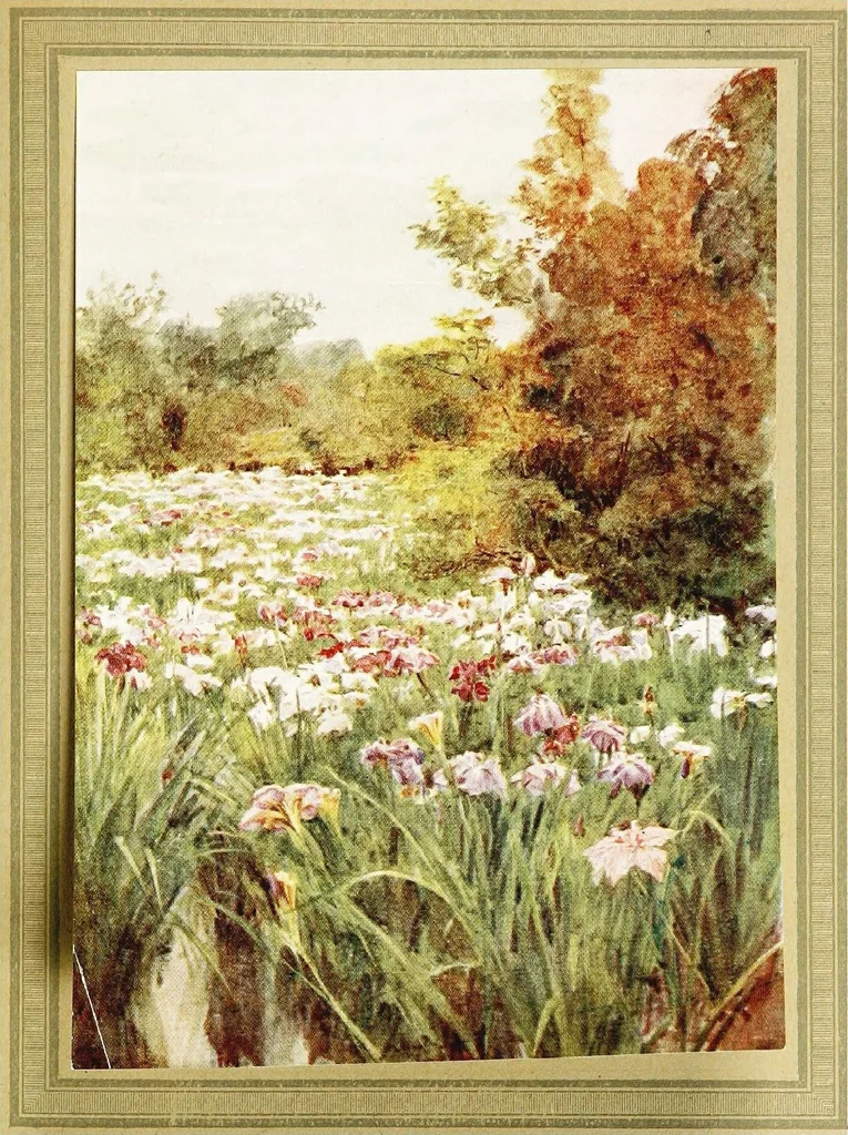 An illustration from Japanese gardens, 1912, leaf 257