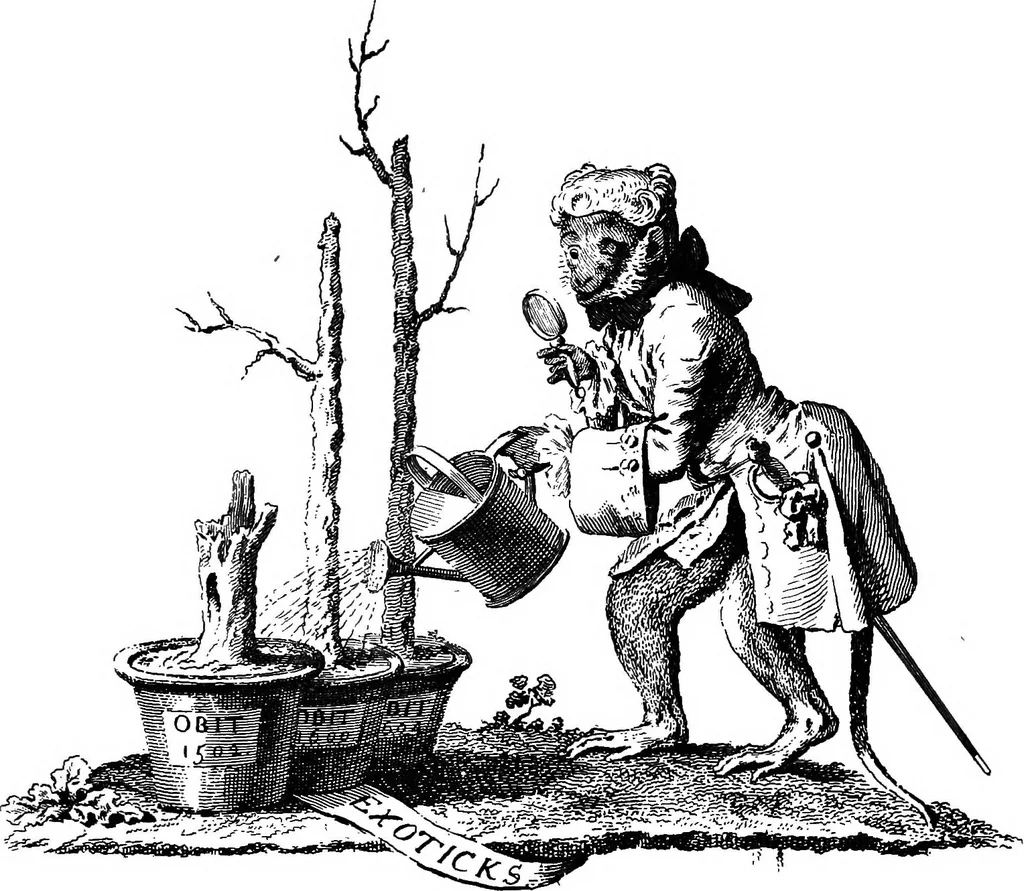 An illustration from The Society of artists of Great Britain, 1760-1791; the Free society of artists, 1761-1783 ; a complete dictionary of contributors and their work from the foundation of the societies to 1791, 1907, leaf 316