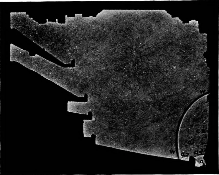 An illustration from Collected papers on acoustics, 1922, leaf 197