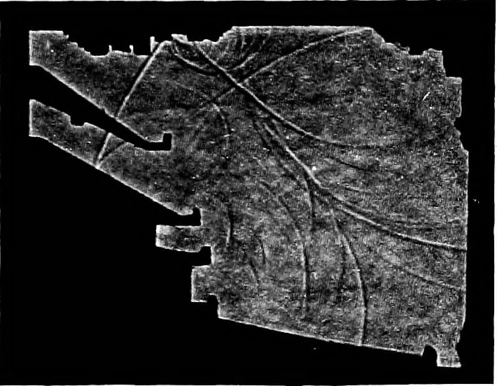 An illustration from Collected papers on acoustics, 1922, leaf 198