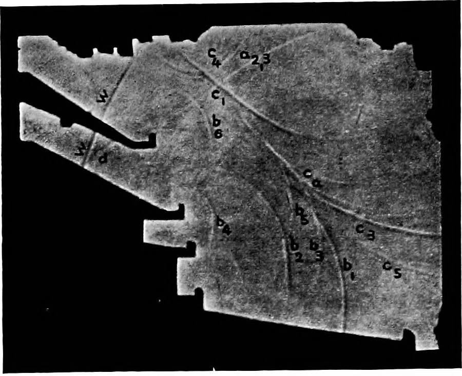 An illustration from Collected papers on acoustics, 1922, leaf 199