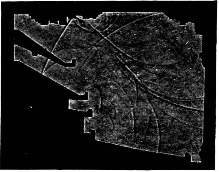An illustration from Collected papers on acoustics, 1922, leaf 251
