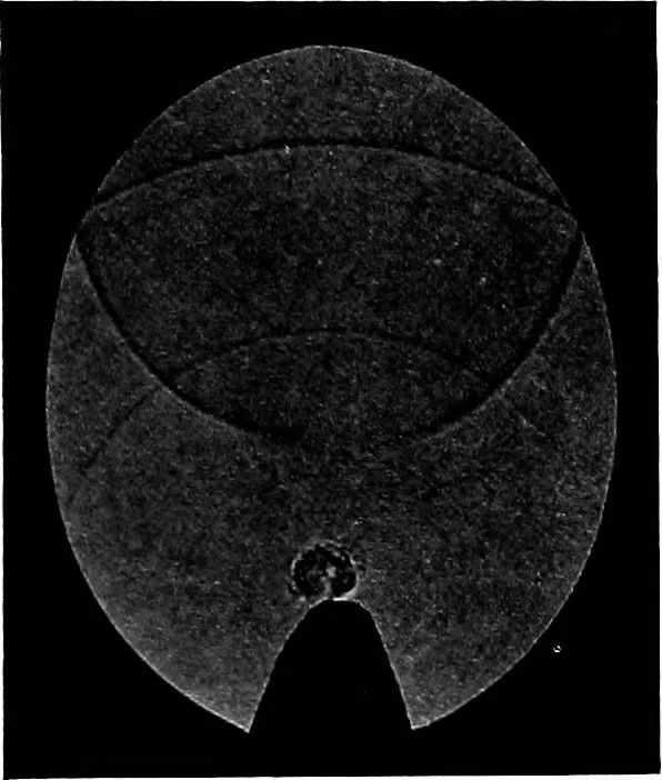 An illustration from Collected papers on acoustics, 1922, leaf 280