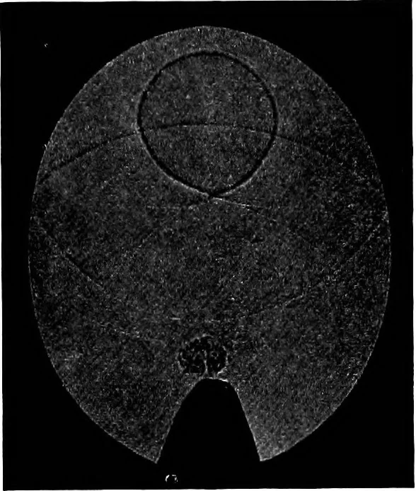 An illustration from Collected papers on acoustics, 1922, leaf 280