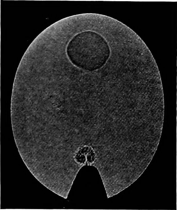 An illustration from Collected papers on acoustics, 1922, leaf 280