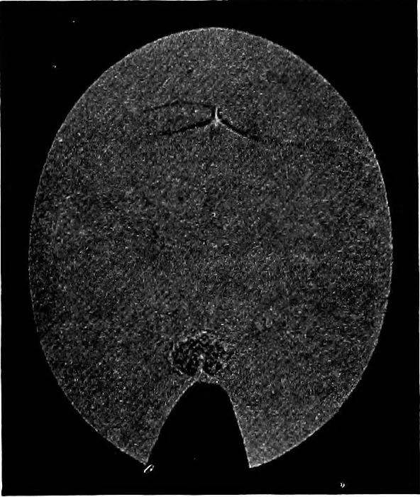 An illustration from Collected papers on acoustics, 1922, leaf 280