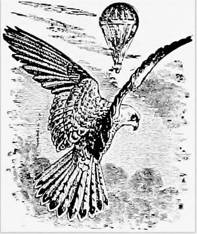 An illustration from The Aerial ship, 1910, leaf 12