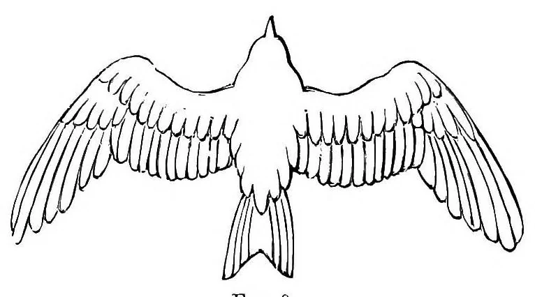 An illustration from Aërial navigation, 1894, leaf 109