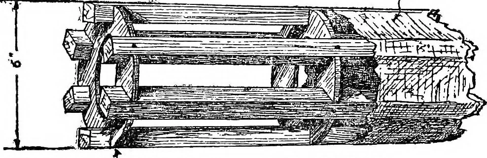 An illustration from The triumph of the N. C.'s, 1920, leaf 103