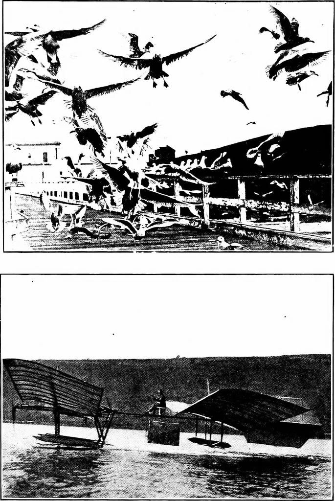 An illustration from The triumph of the N. C.'s, 1920, leaf 257