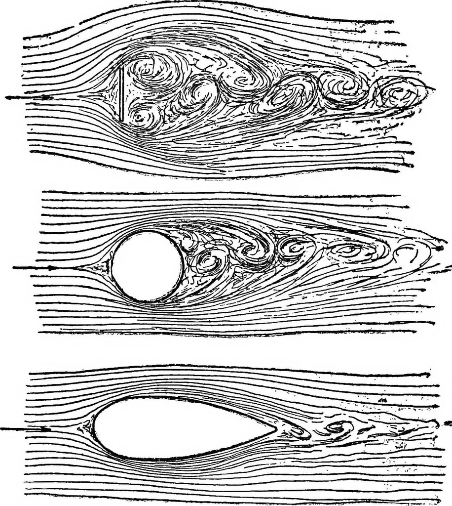 An illustration from The triumph of the N. C.'s, 1920, leaf 96