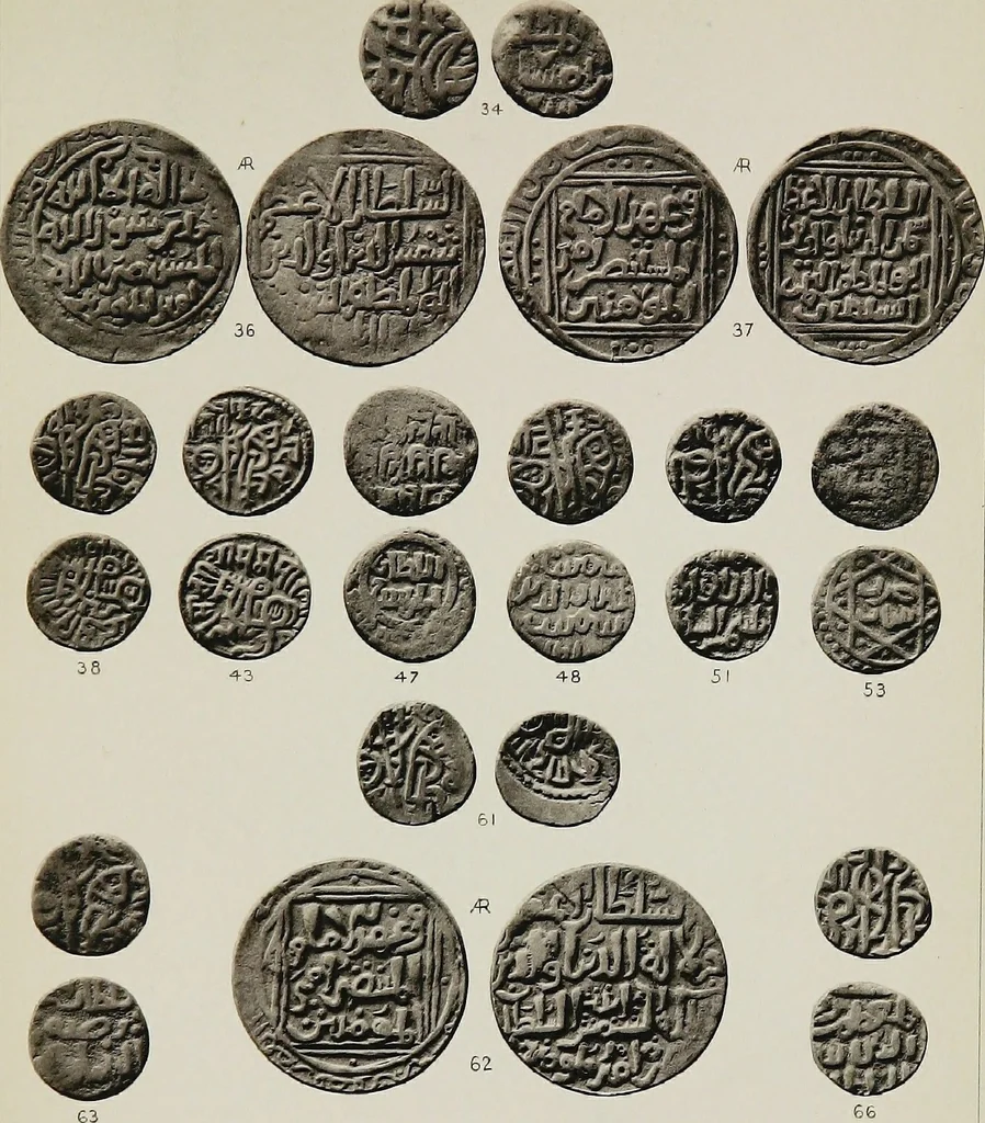 An illustration from The coins of the sultans of Dehlí in the British Museum, 1884, leaf 254