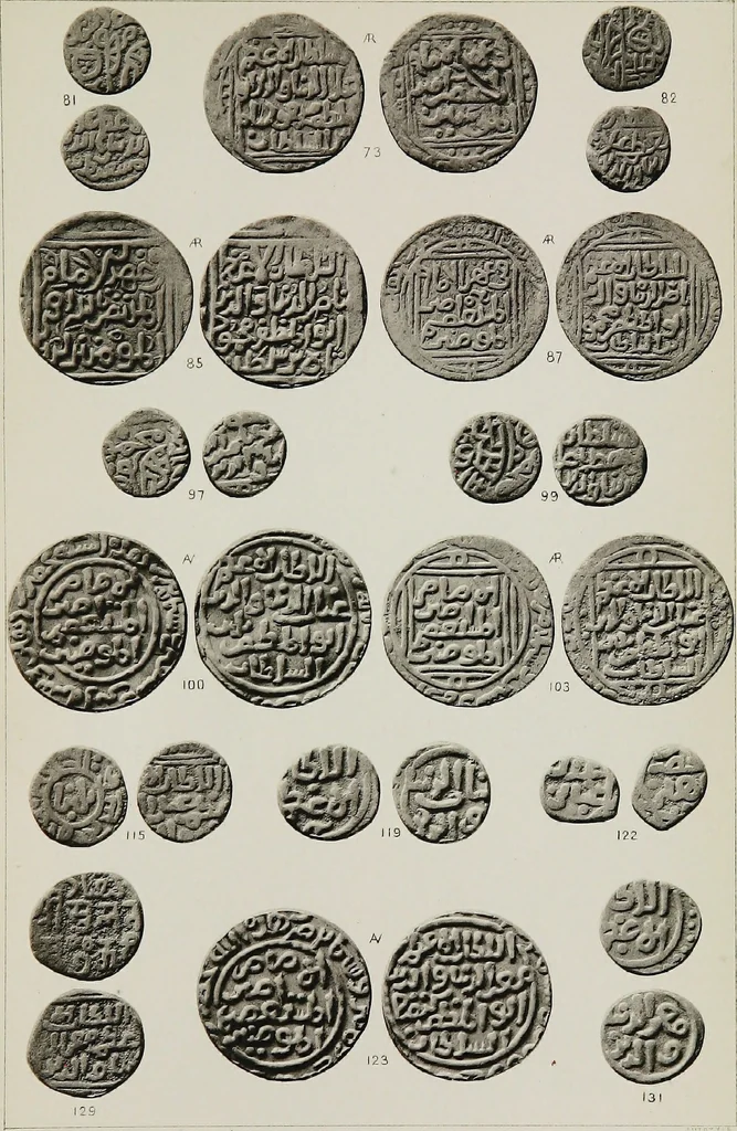 An illustration from The coins of the sultans of Dehlí in the British Museum, 1884, leaf 256