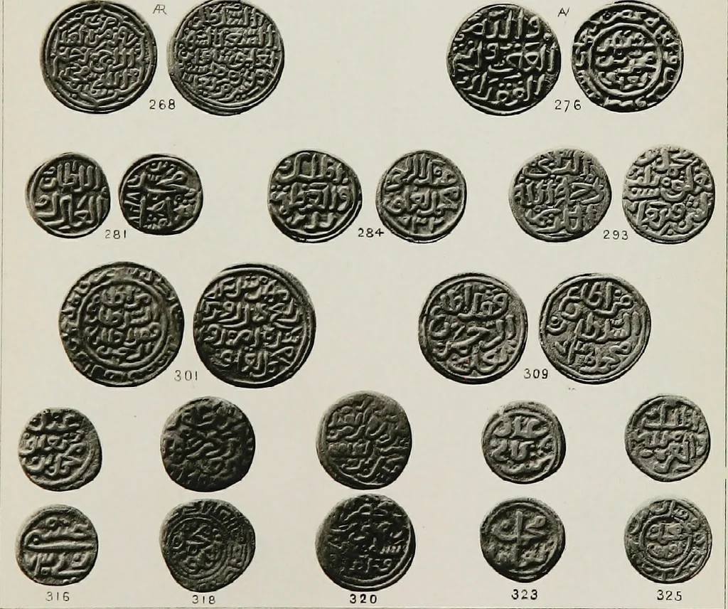 An illustration from The coins of the sultans of Dehlí in the British Museum, 1884, leaf 260