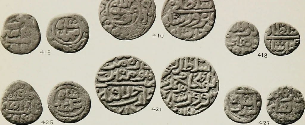 An illustration from The coins of the sultans of Dehlí in the British Museum, 1884, leaf 264