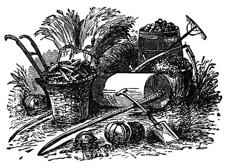 An illustration from A wizard's wanderings from China to Peru, 1886, leaf 114