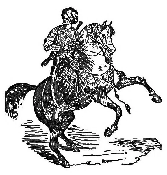 An illustration from A wizard's wanderings from China to Peru, 1886, leaf 138