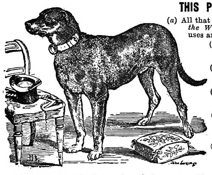 An illustration from A wizard's wanderings from China to Peru, 1886, leaf 191