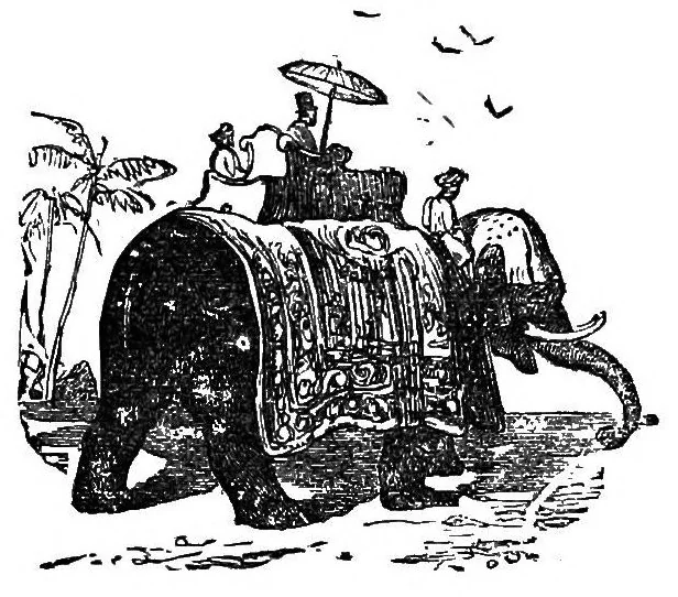 An illustration from A wizard's wanderings from China to Peru, 1886, leaf 69