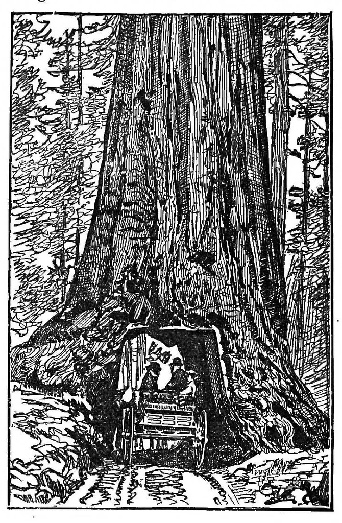 An illustration from A wizard's wanderings from China to Peru, 1886, leaf 87