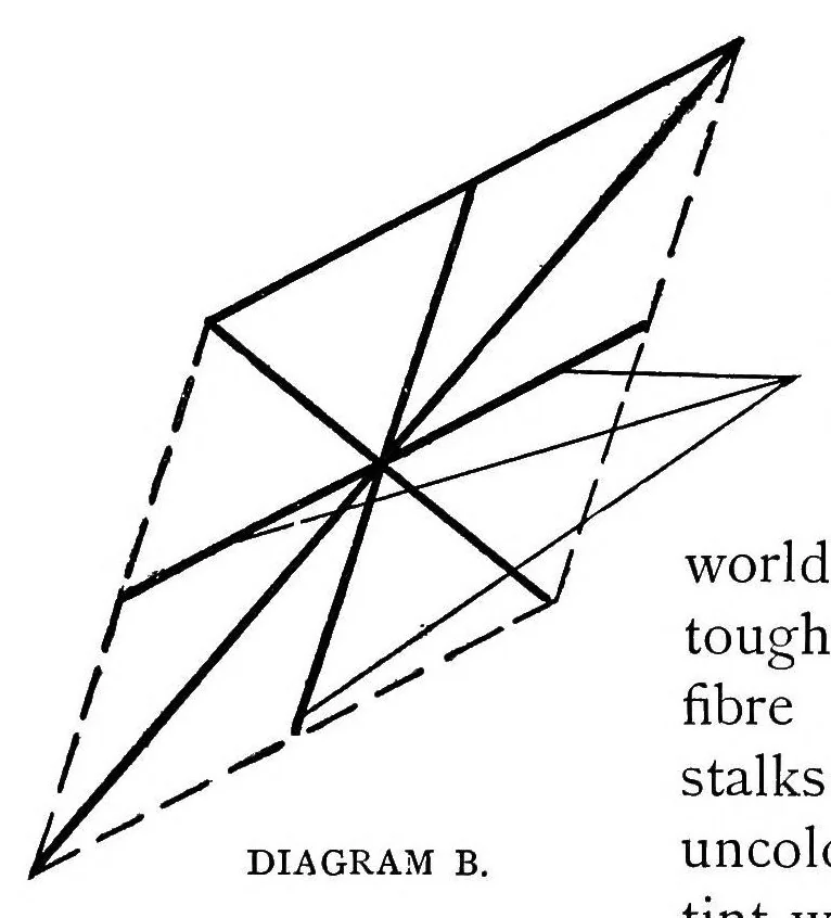 An illustration from Parakites : a treatise on the making and flying of tailless kites for scientific purposes and for recreation, 1896, leaf 29