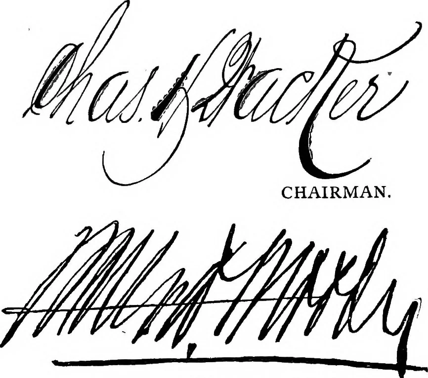 An illustration from Chicago's greatest issue; an official plan, 1911, leaf 90