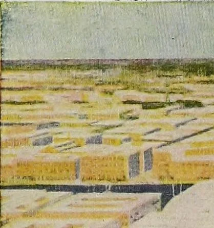 An illustration from Wacker's manual of the plan of Chicago: municipal economy. Especially prepared for study in the schools of Chicago., auspices of the Chicago Plan Commission .., 1920, leaf 110