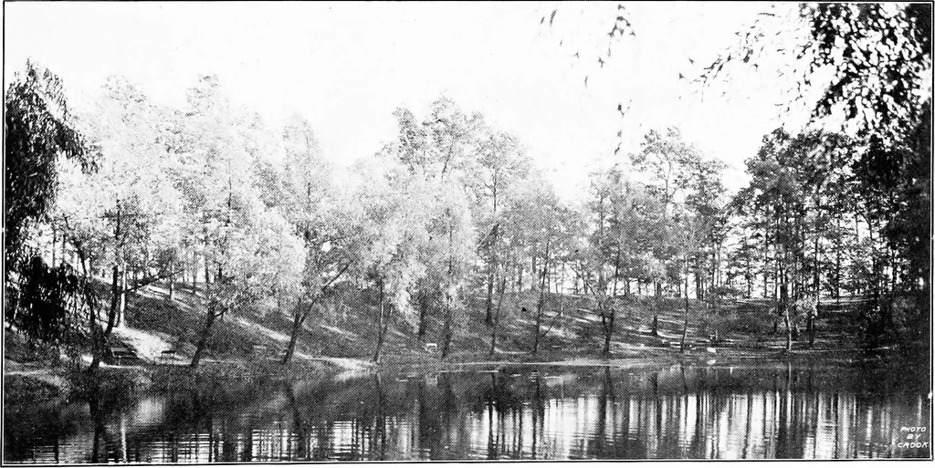 An illustration from The city plan of Flint, Michigan, including the reports of John Nolen, city planner, and Bion J. Arnold, transportation engineer, as approved by the City planning board and accepted by the Common council. George C. Kellar, mayor. Frank D. King, city clerk, 1920, leaf 48