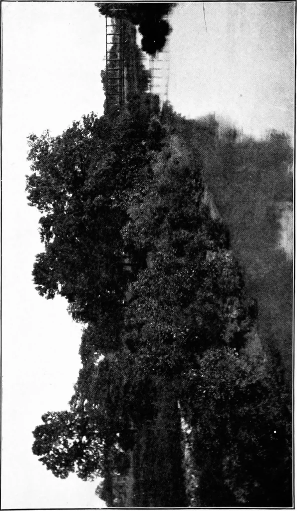 An illustration from Report of Charles Mulford Robinson for Fort Wayne Civic Improvement Association, 1910, leaf 123