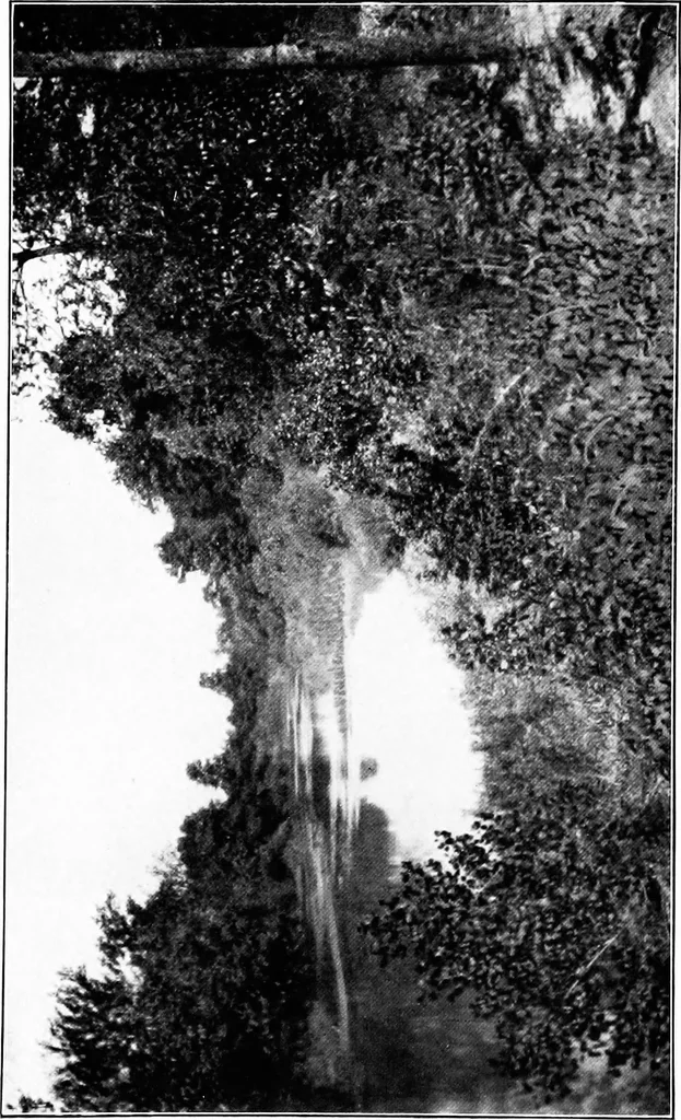 An illustration from Report of Charles Mulford Robinson for Fort Wayne Civic Improvement Association, 1910, leaf 129