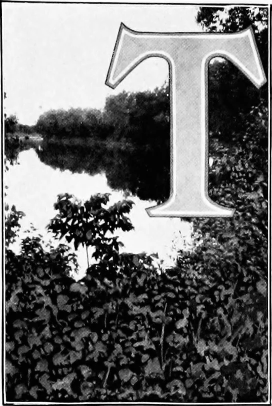 An illustration from Report of Charles Mulford Robinson for Fort Wayne Civic Improvement Association, 1910, leaf 16