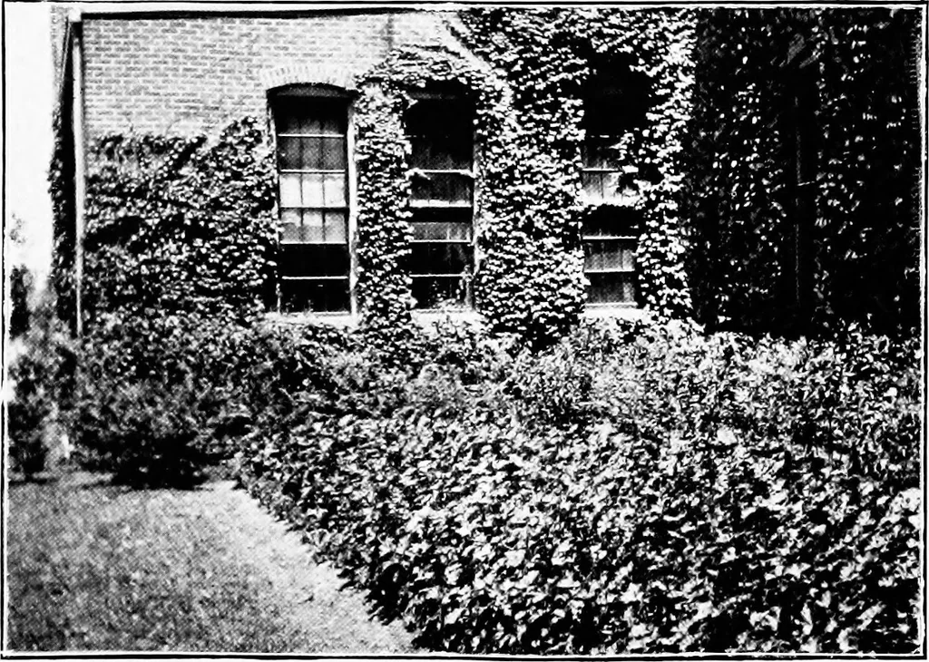 An illustration from Report of Charles Mulford Robinson for Fort Wayne Civic Improvement Association, 1910, leaf 60